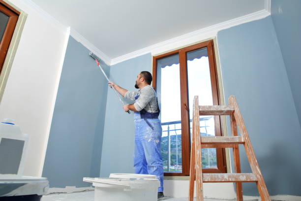 Best Black Mold Removal  in Centre, AL