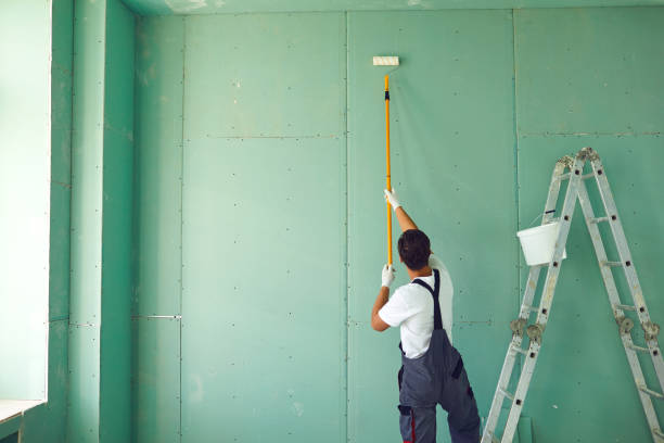 Best Basement Mold Removal  in Centre, AL