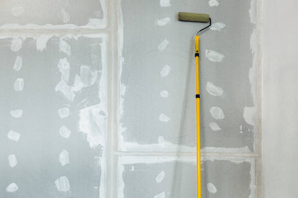Best Emergency Mold Remediation  in Centre, AL
