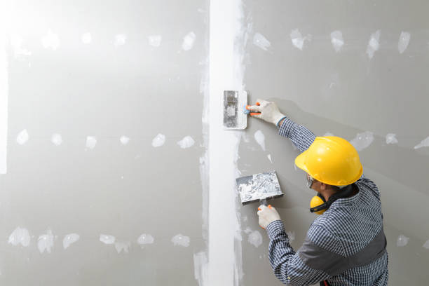 Reliable Centre, AL Mold Removal Solutions