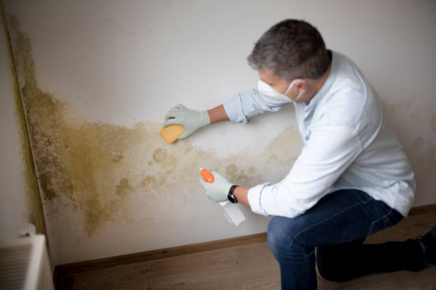 Best Airborne Mold Testing  in Centre, AL