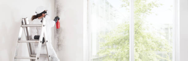 Best Mold Odor Removal Services  in Centre, AL